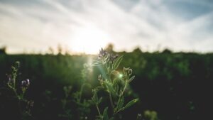 Motivation am Morgen: So startest du voller Energie in den Tag